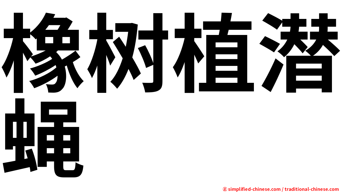 橡树植潜蝇