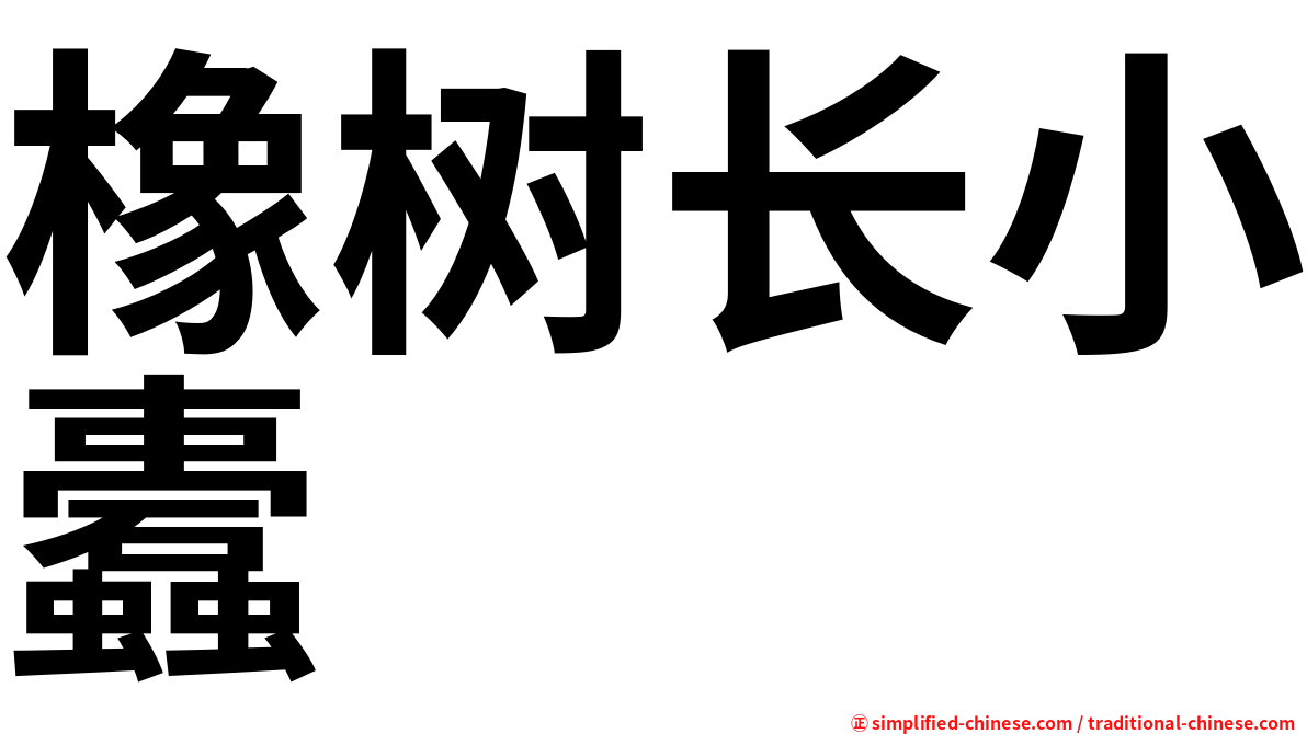 橡树长小蠹