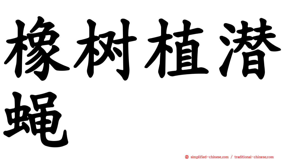 橡树植潜蝇