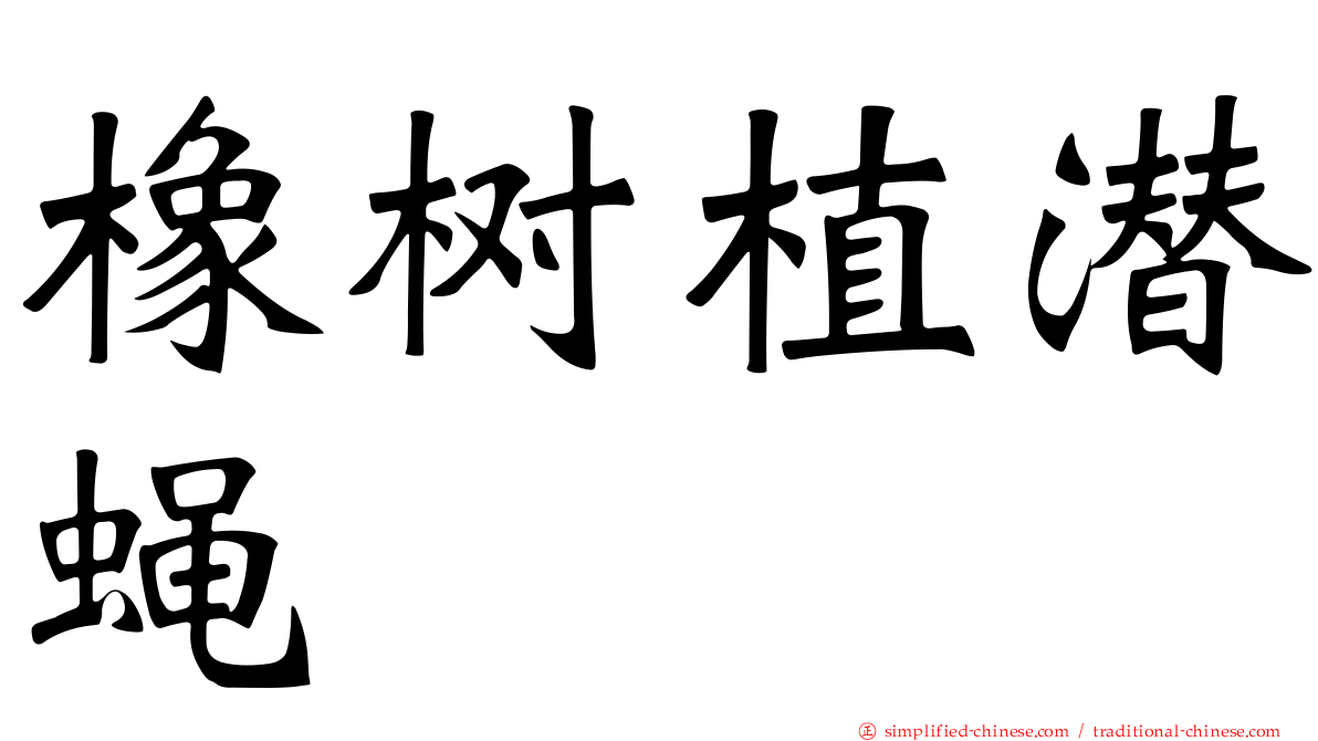 橡树植潜蝇