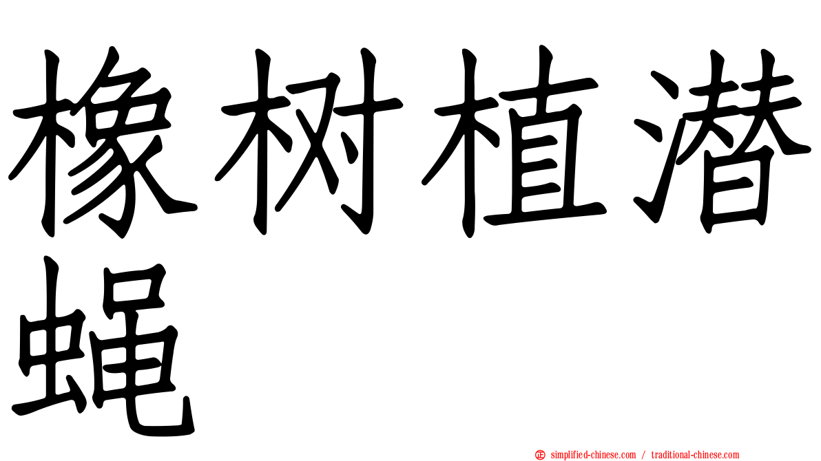 橡树植潜蝇