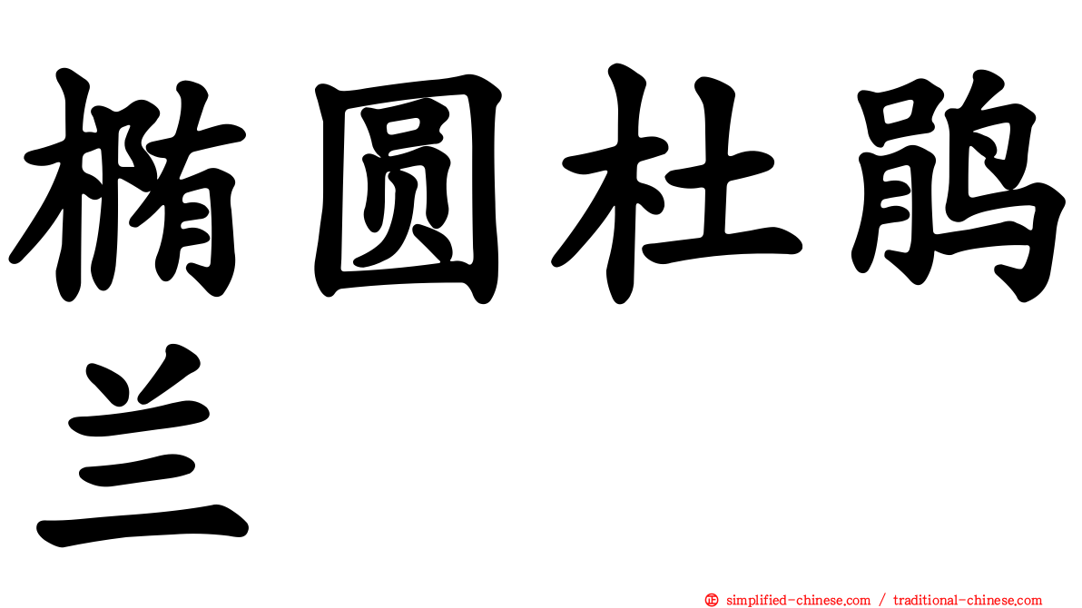 椭圆杜鹃兰