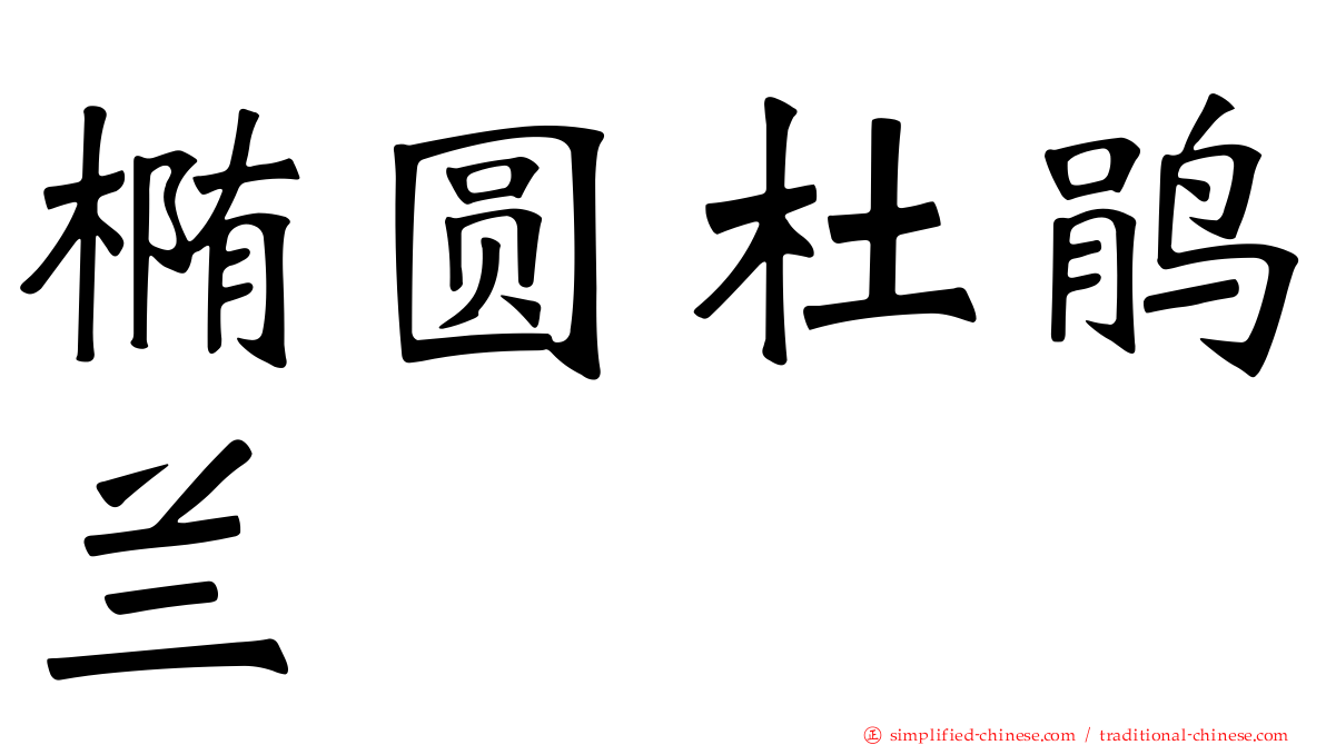 椭圆杜鹃兰