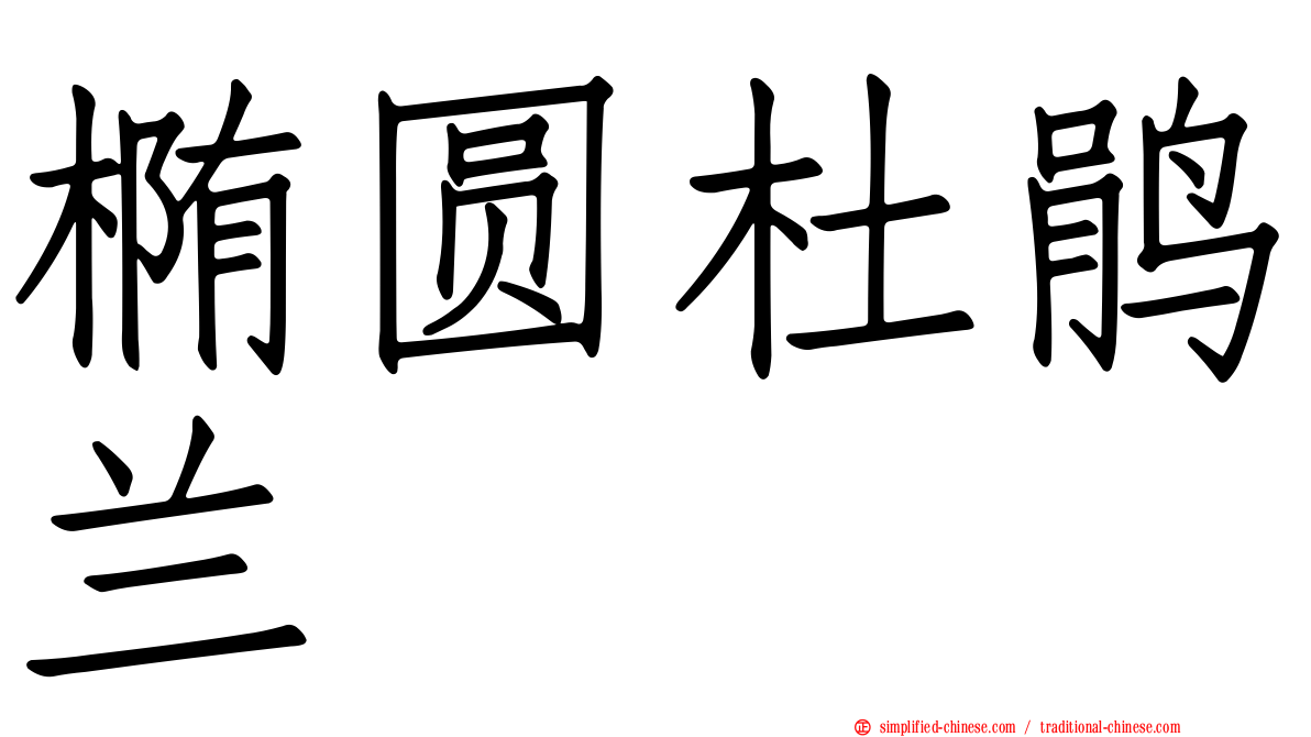 椭圆杜鹃兰