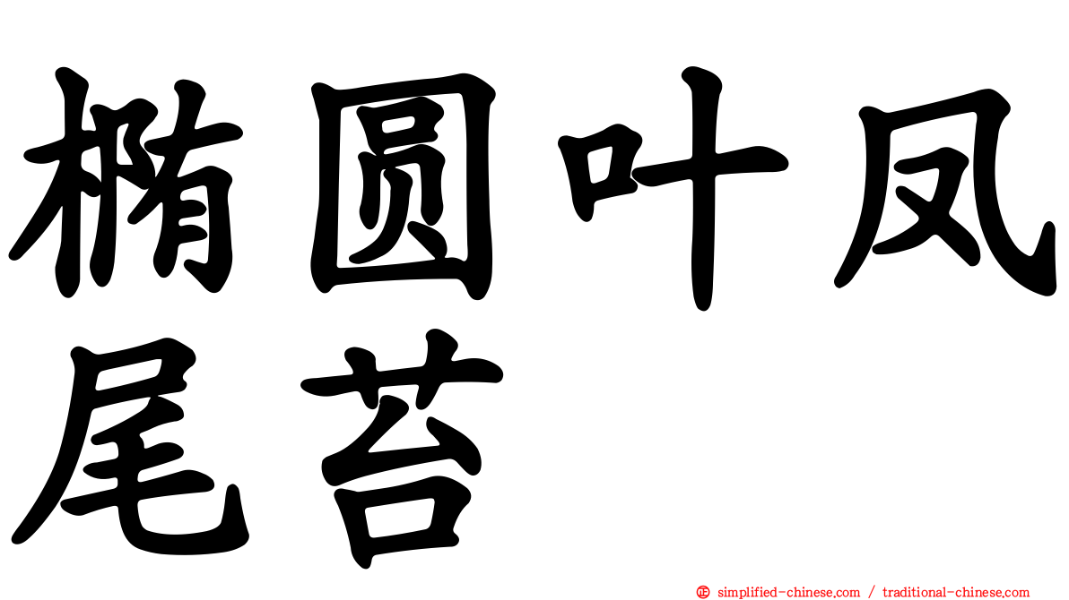 椭圆叶凤尾苔