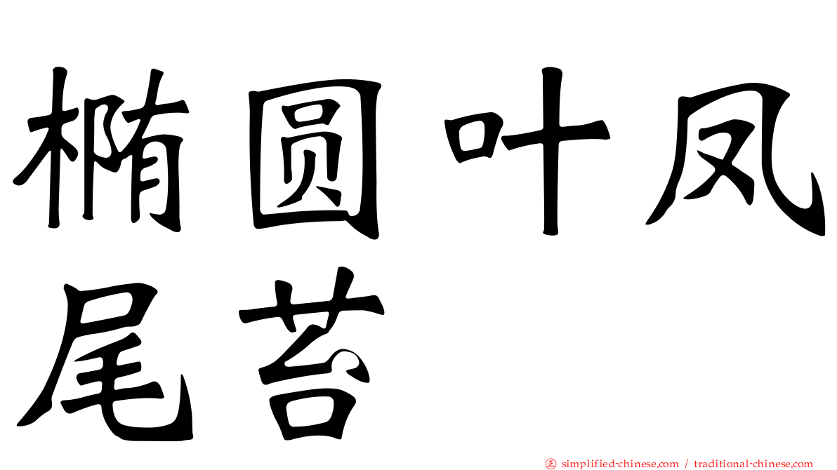 椭圆叶凤尾苔