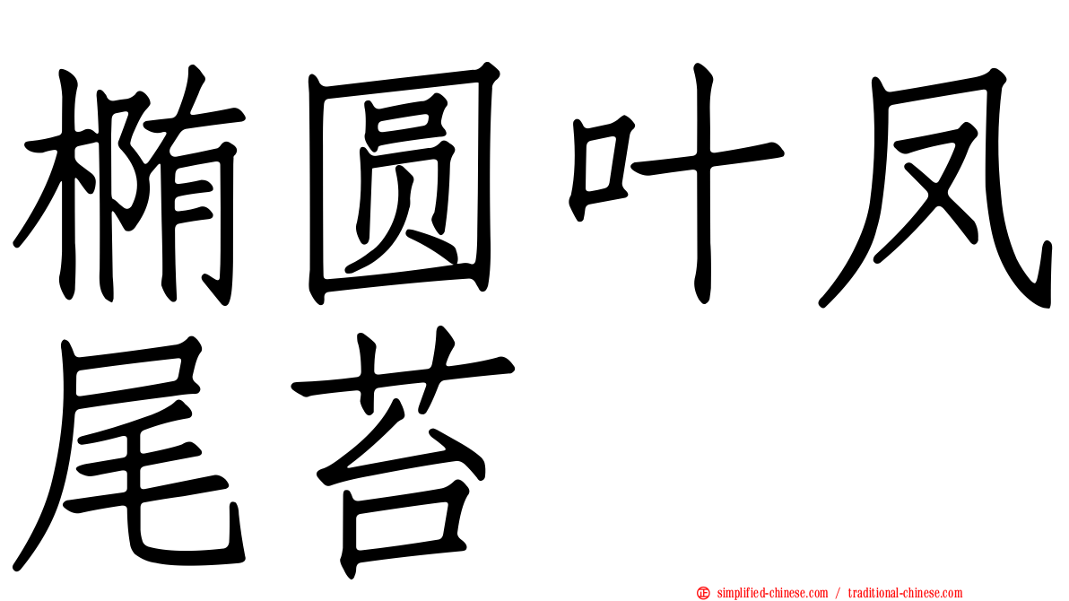 椭圆叶凤尾苔