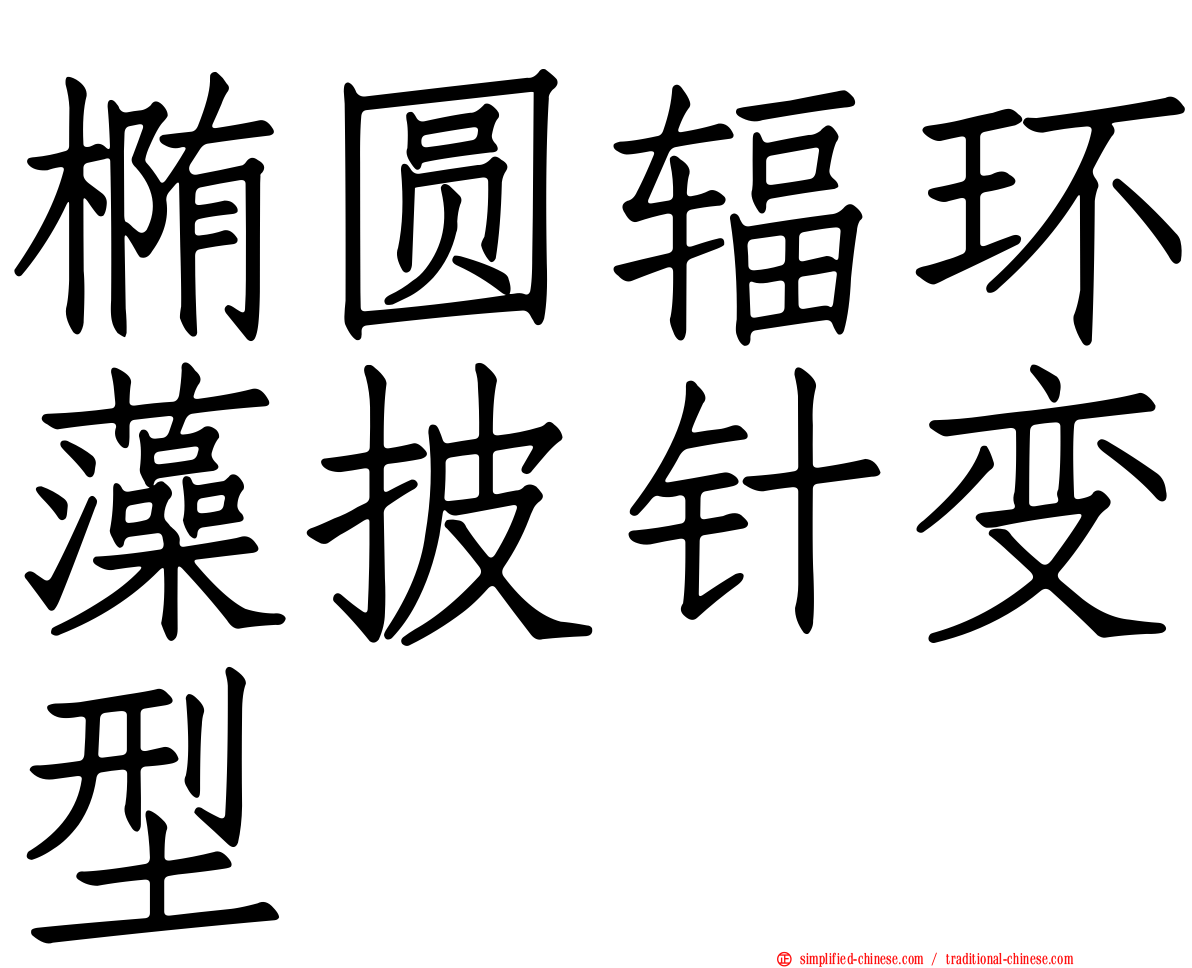 椭圆辐环藻披针变型