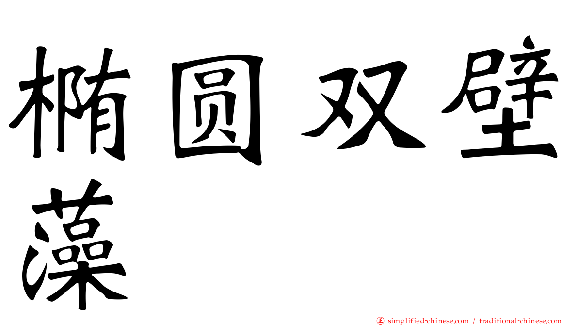 椭圆双壁藻