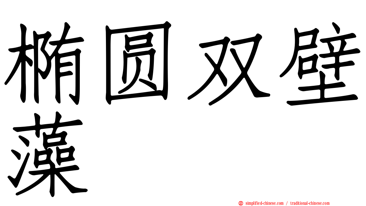 椭圆双壁藻