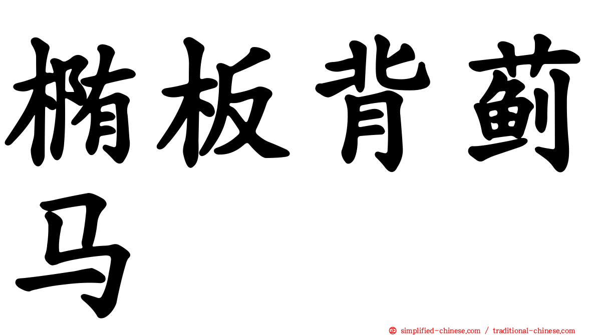 椭板背蓟马