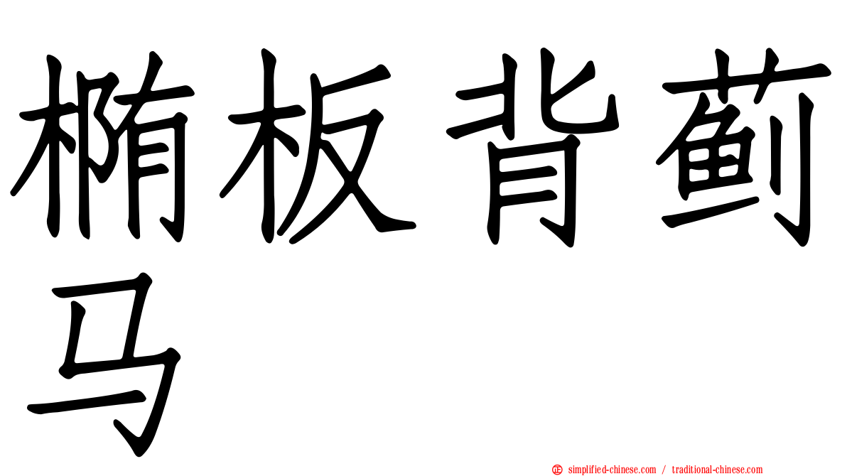 椭板背蓟马
