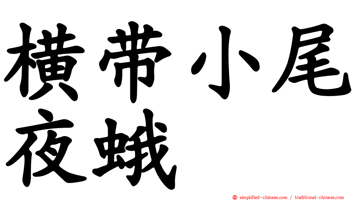 横带小尾夜蛾