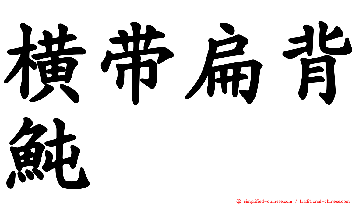 横带扁背鲀