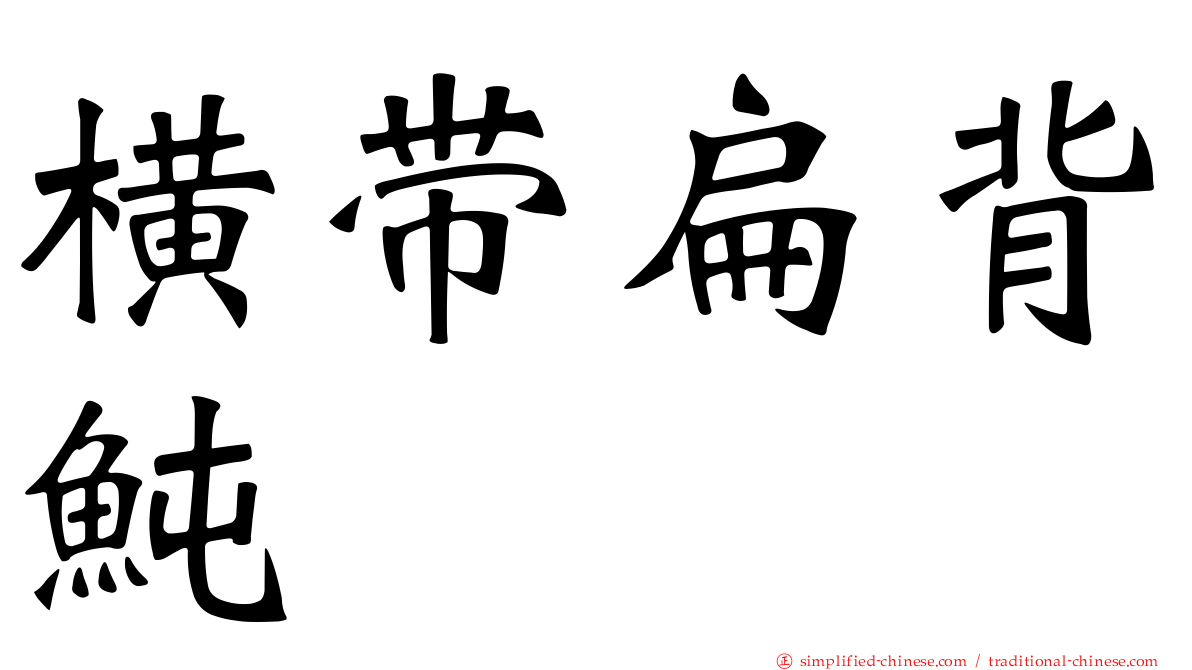 横带扁背鲀