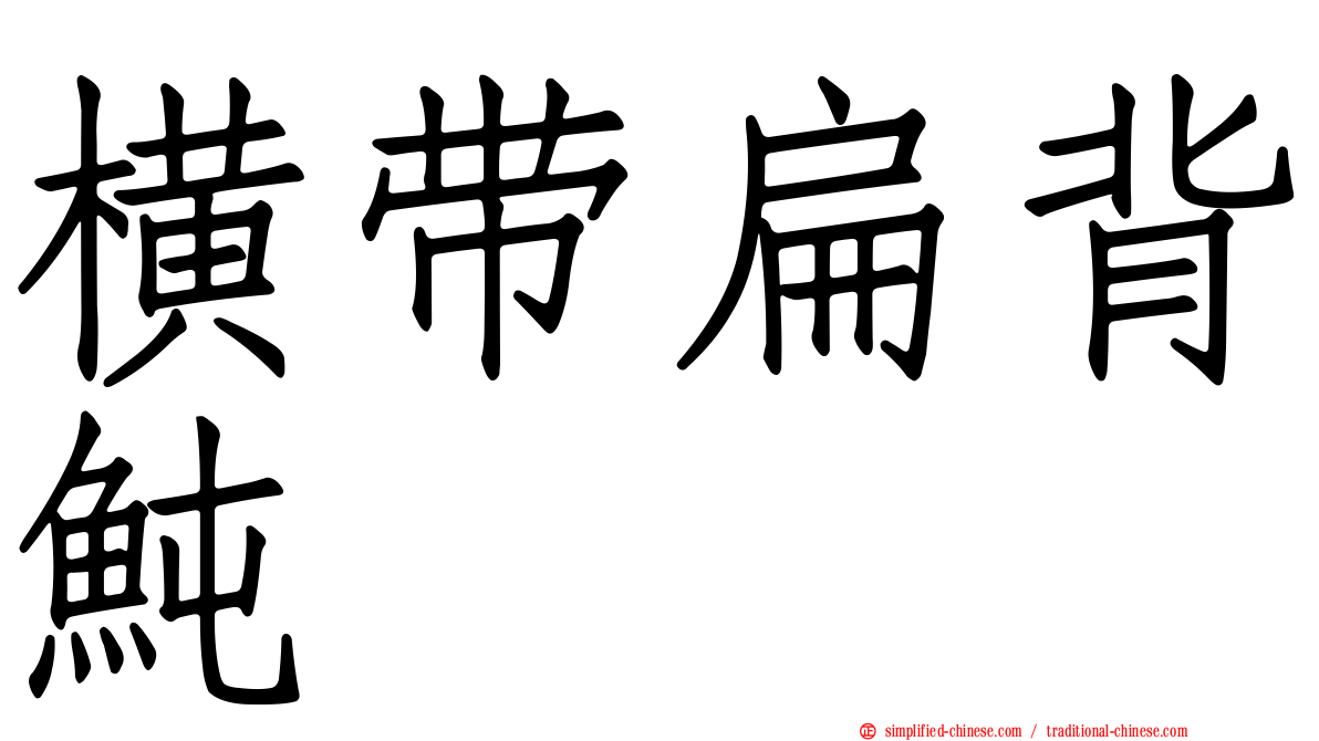横带扁背鲀