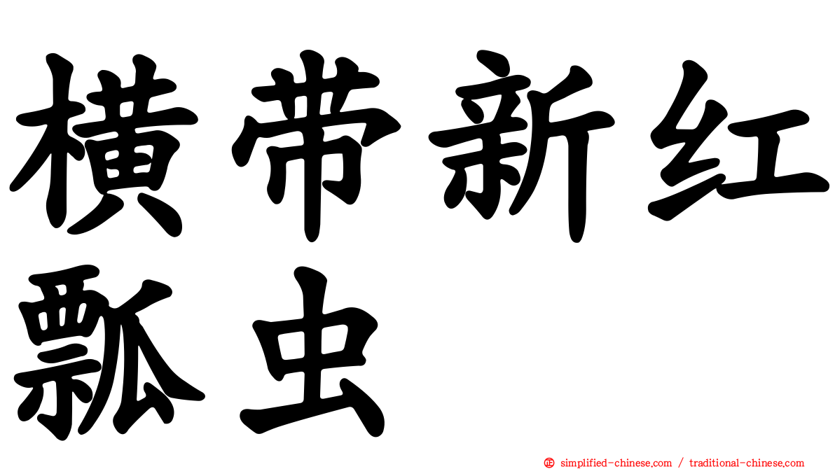 横带新红瓢虫