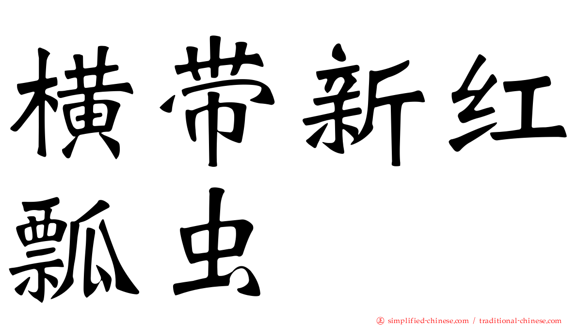 横带新红瓢虫