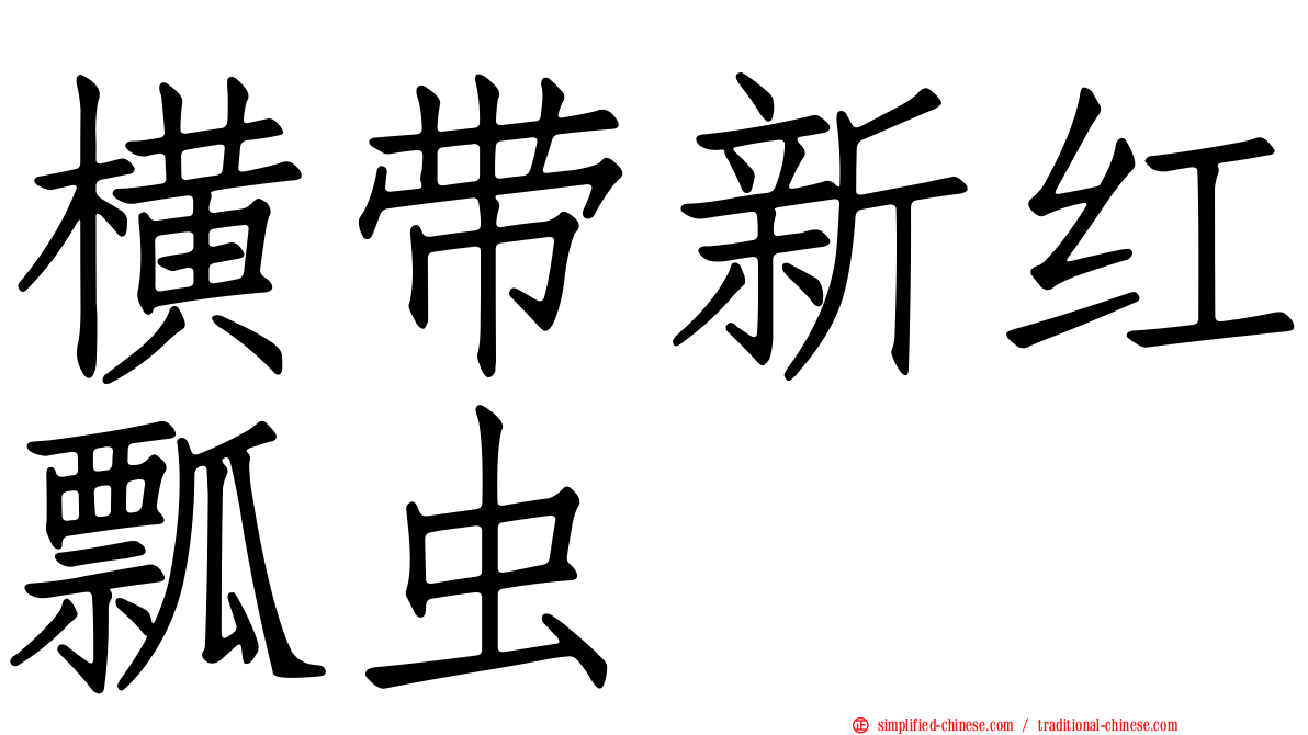 横带新红瓢虫