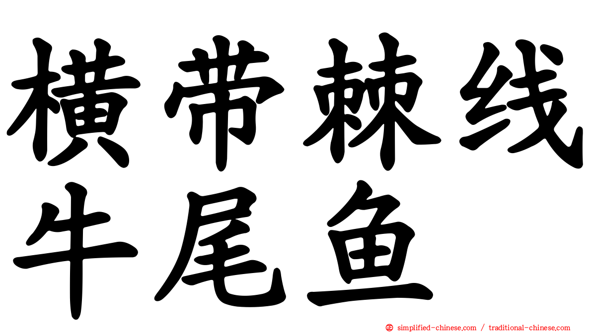 横带棘线牛尾鱼