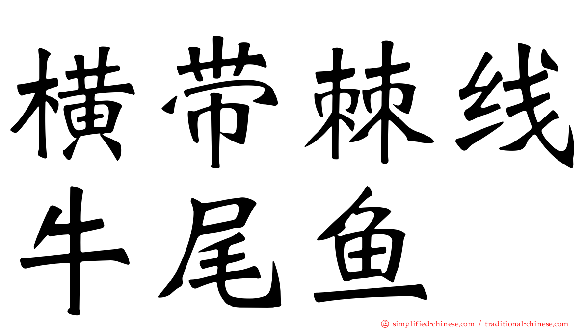 横带棘线牛尾鱼