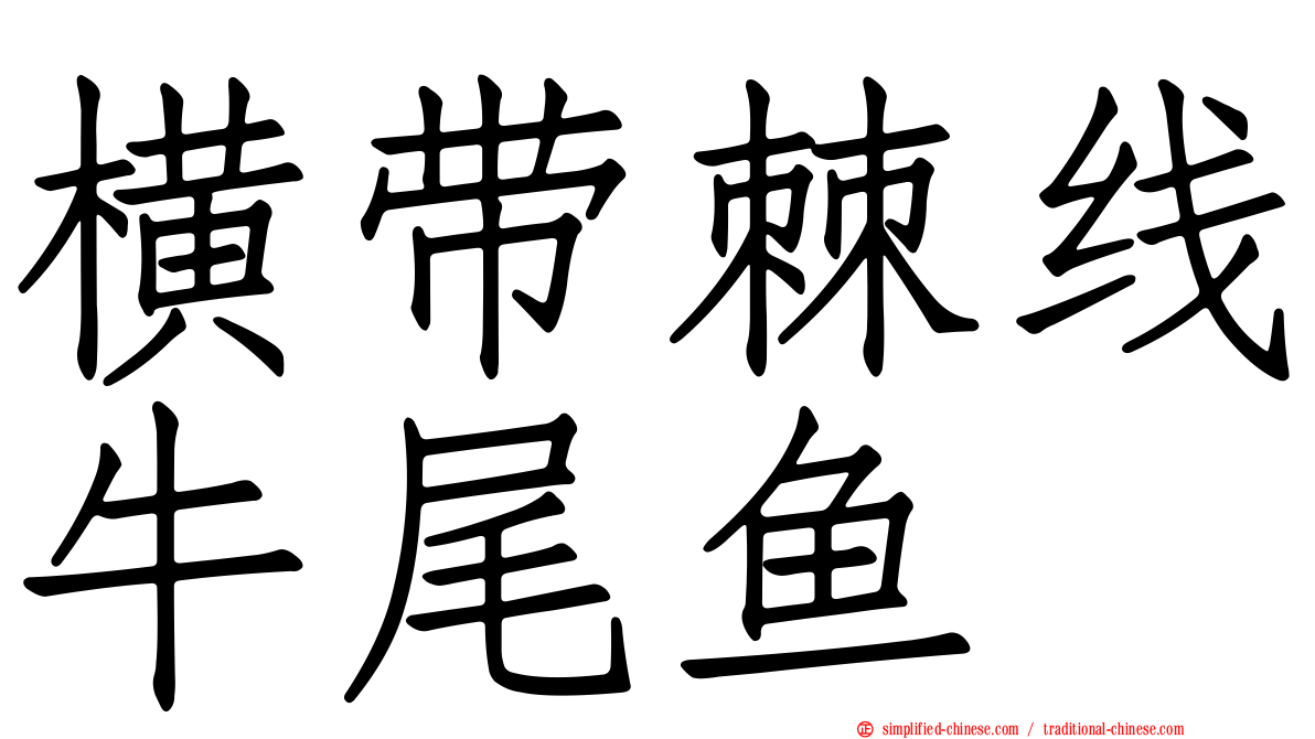 横带棘线牛尾鱼