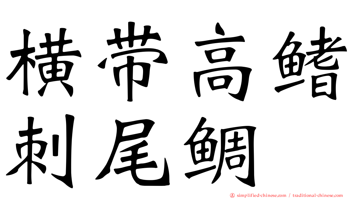 横带高鳍刺尾鲷