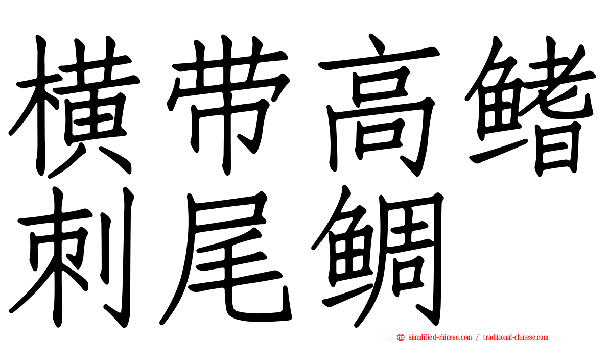 横带高鳍刺尾鲷