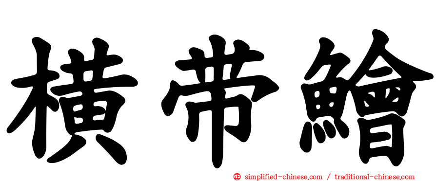 横带鲙
