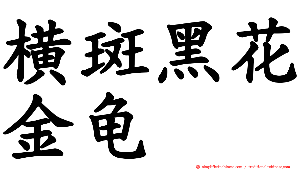 横斑黑花金龟