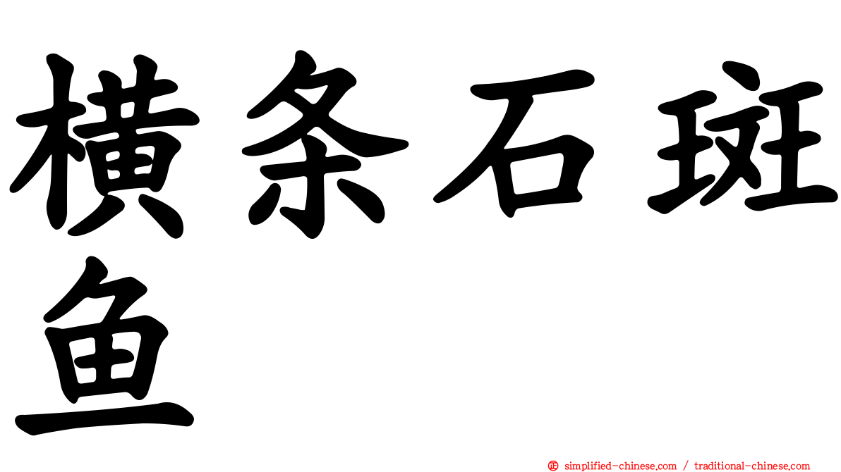 横条石斑鱼