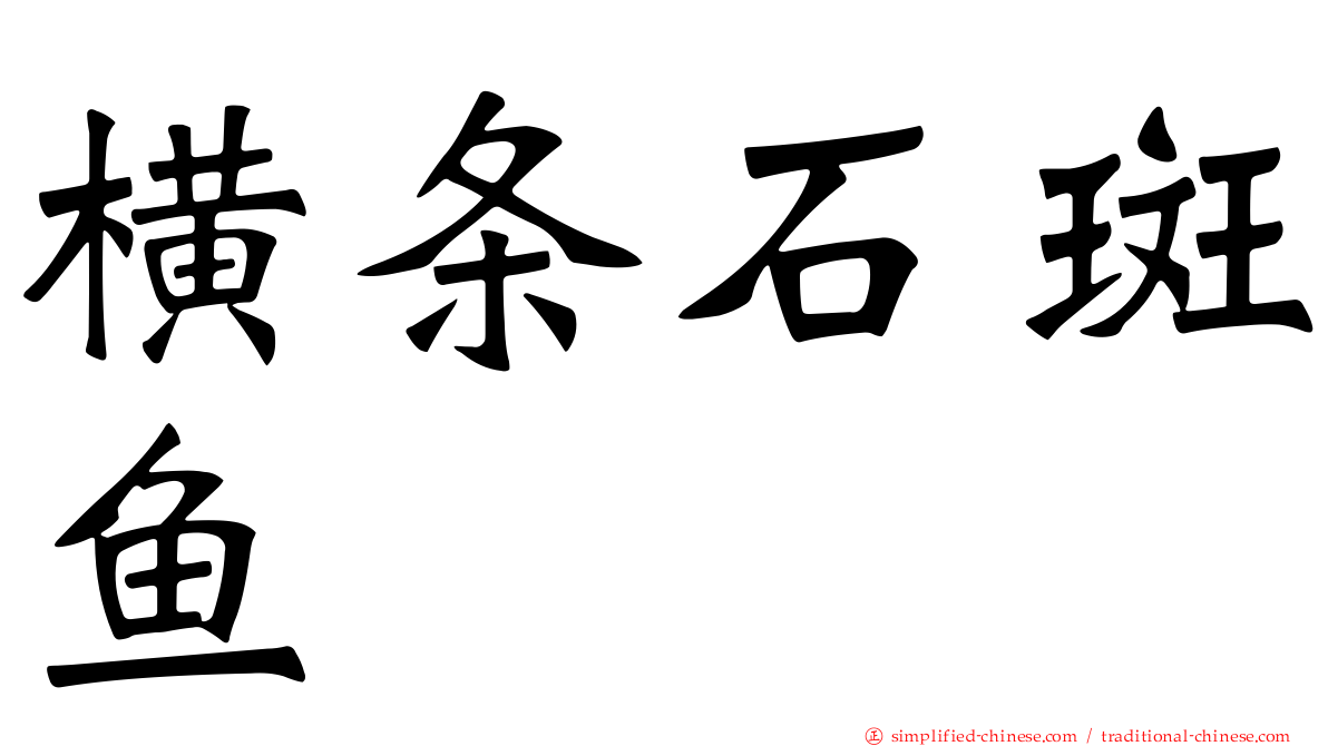 横条石斑鱼
