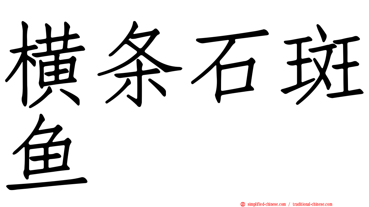 横条石斑鱼