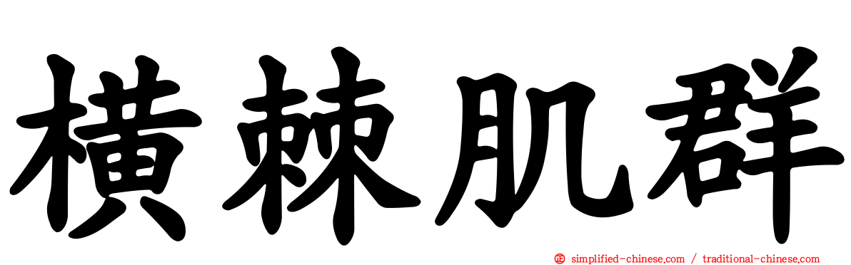 横棘肌群