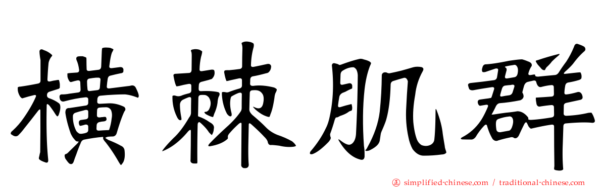 横棘肌群