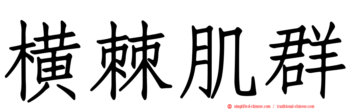 横棘肌群
