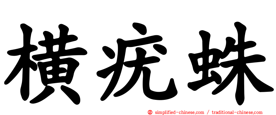横疣蛛
