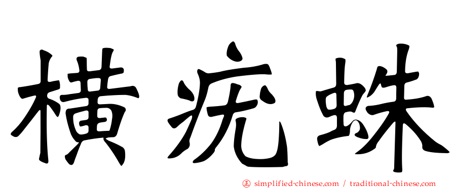 横疣蛛