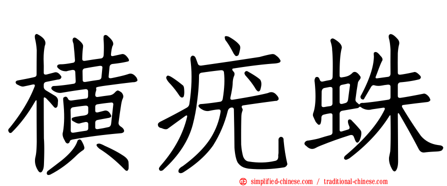 横疣蛛