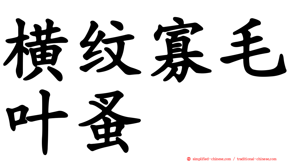 横纹寡毛叶蚤