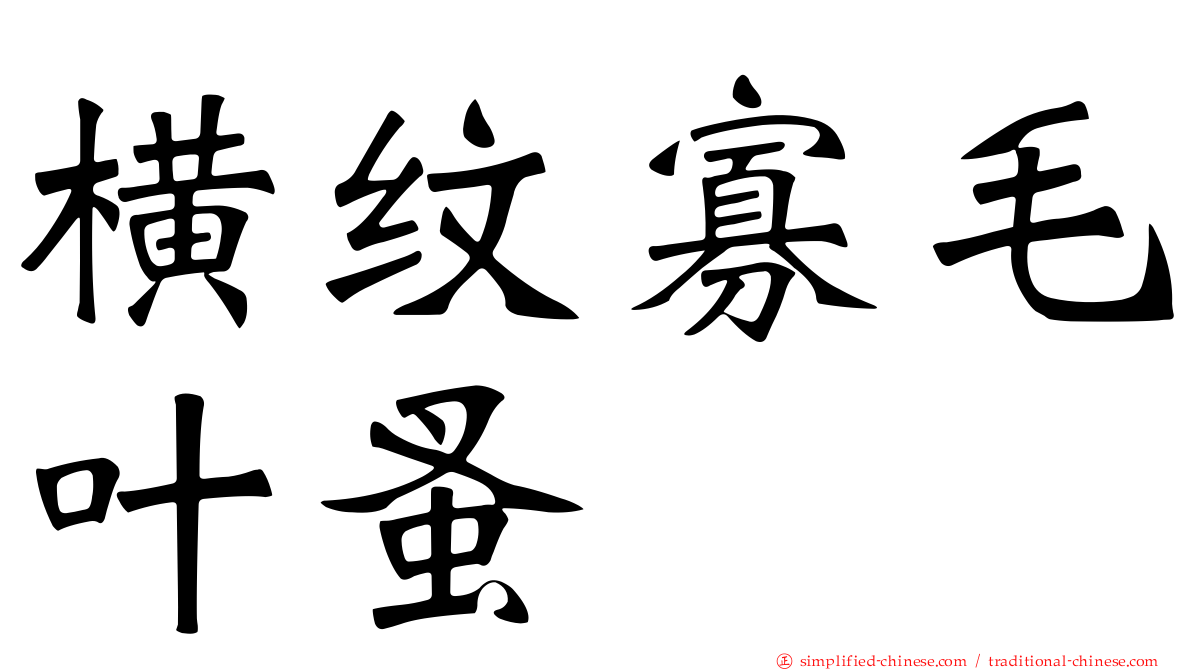 横纹寡毛叶蚤