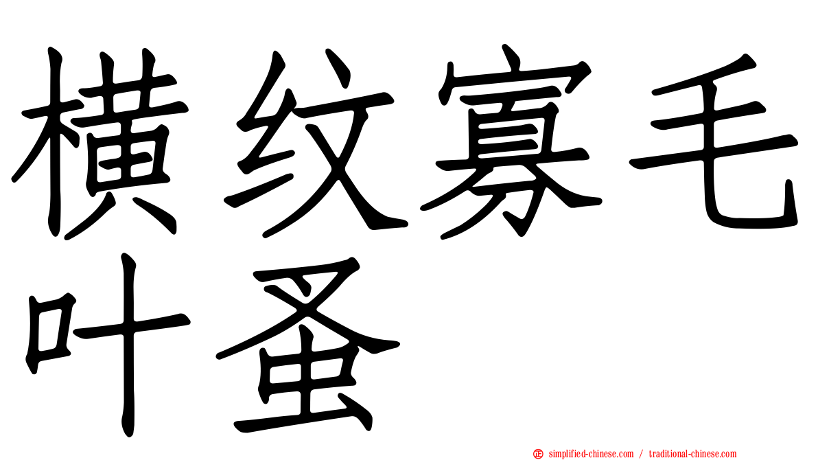 横纹寡毛叶蚤