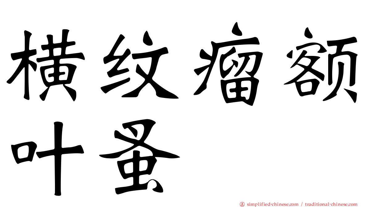 横纹瘤额叶蚤