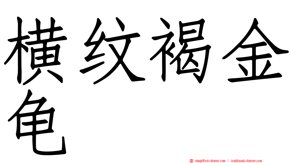 横纹褐金龟