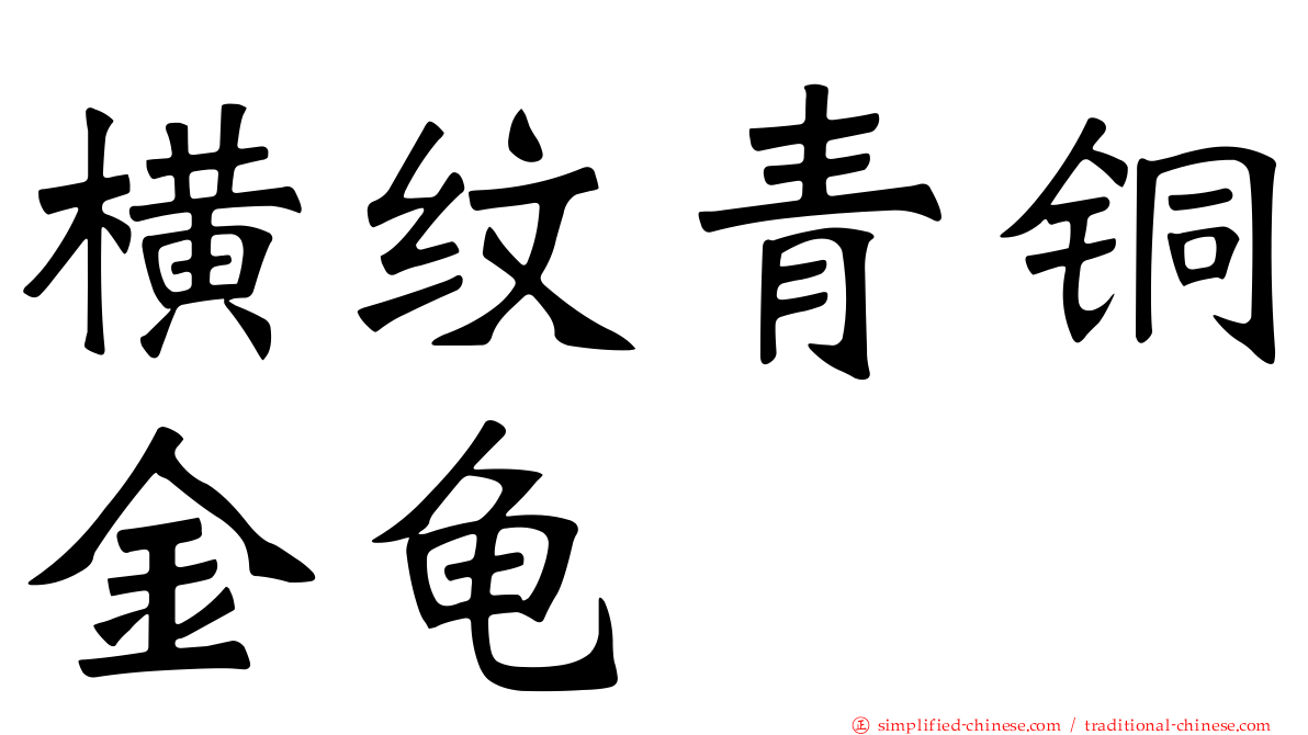 横纹青铜金龟