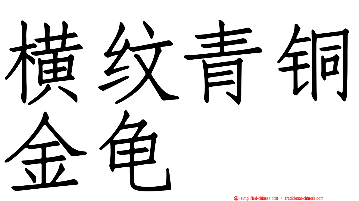 横纹青铜金龟