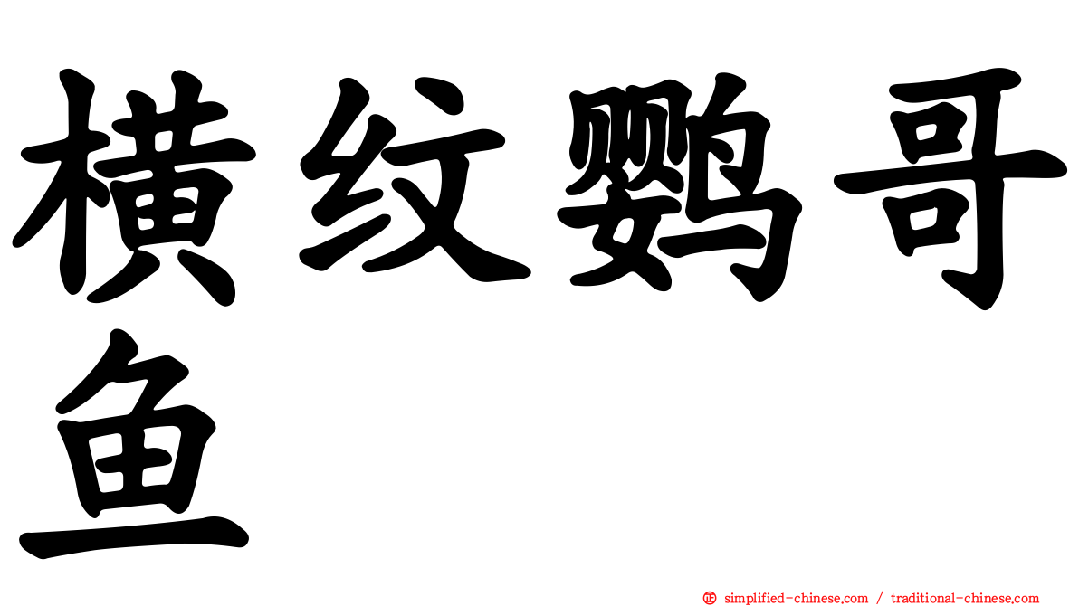 横纹鹦哥鱼