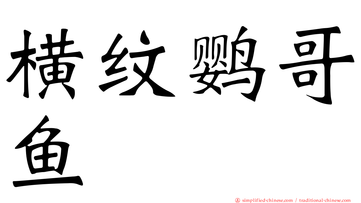 横纹鹦哥鱼