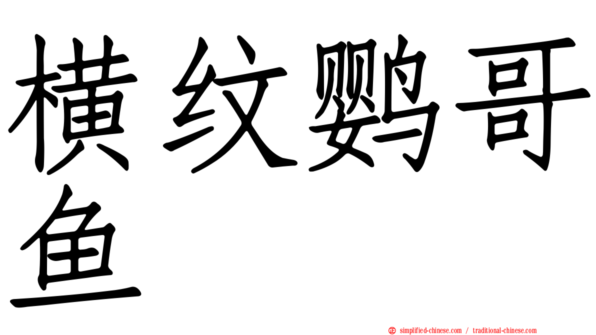 横纹鹦哥鱼