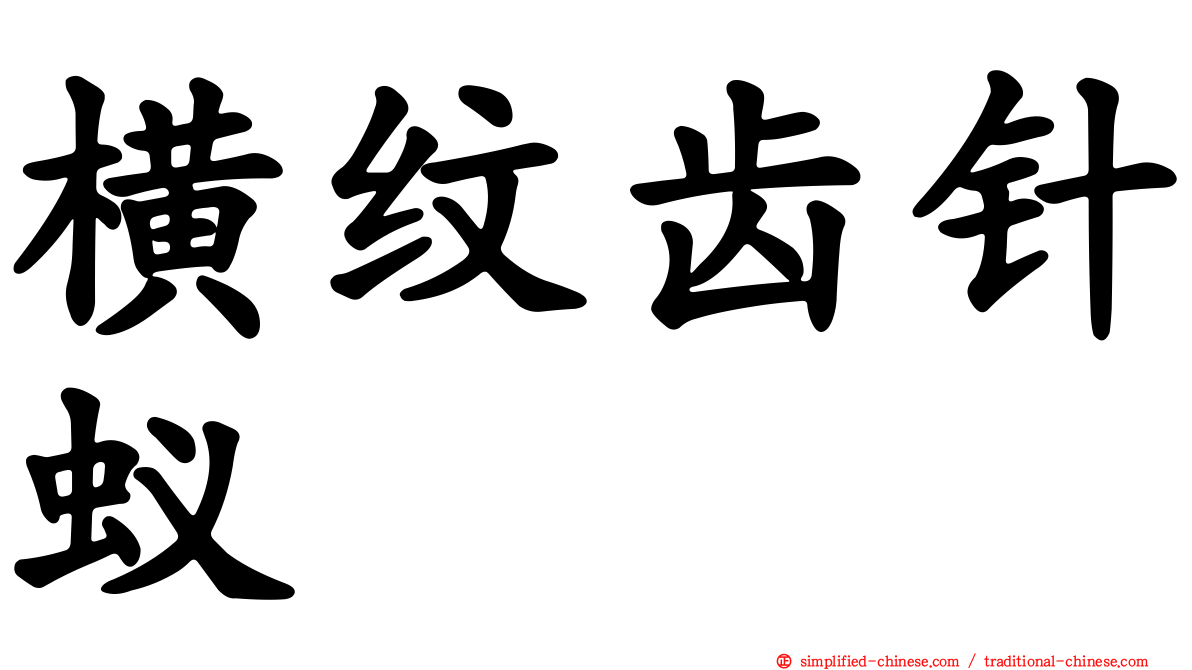 横纹齿针蚁